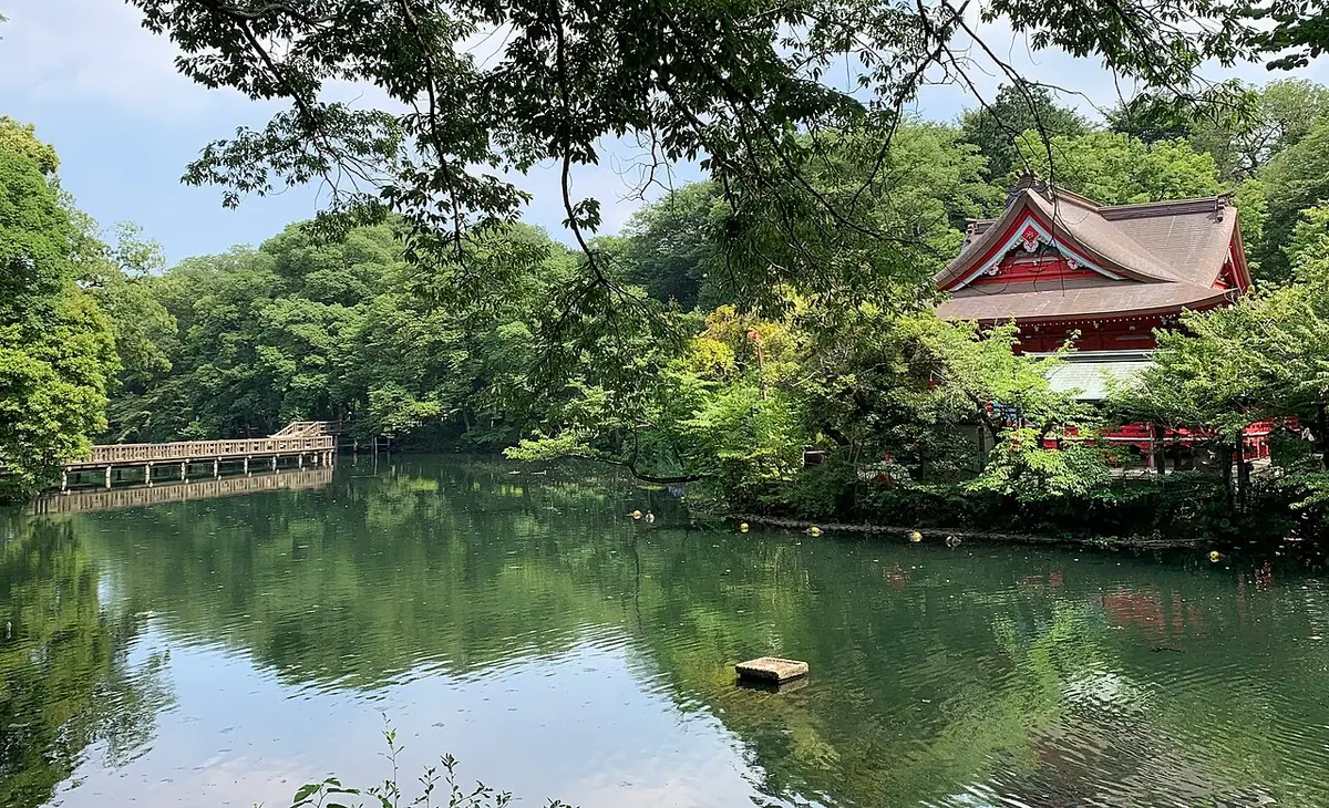 Estanque del parque Inokashira, junto a Kichijoji